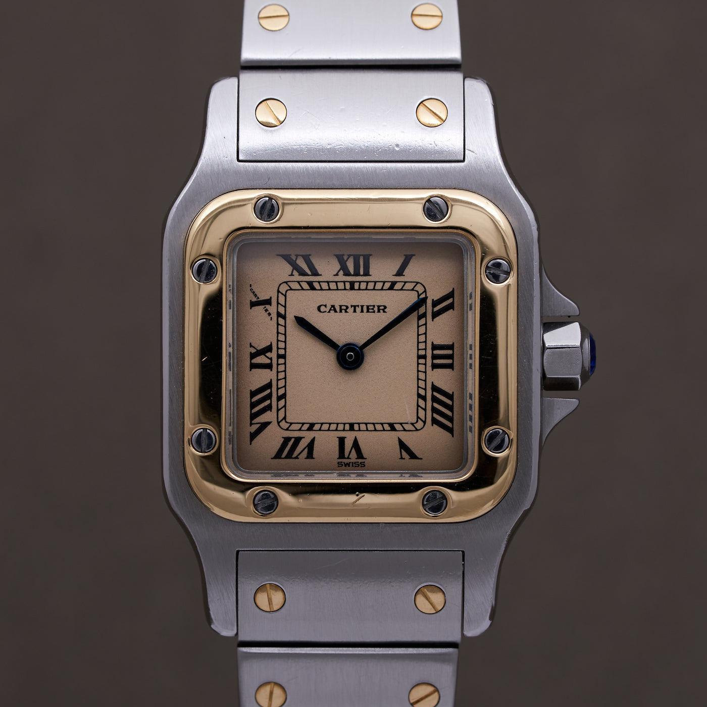 Cartier Santos macro case